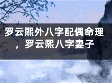 罗云熙外八字配偶命理,罗云熙八字妻子