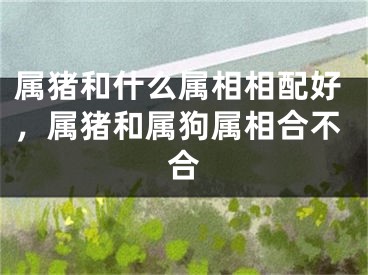 属猪和什么属相相配好，属猪和属狗属相合不合