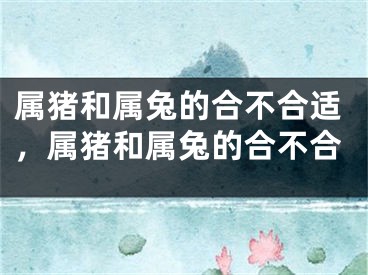 属猪和属兔的合不合适，属猪和属兔的合不合