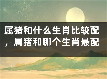 属猪和什么生肖比较配,属猪和哪个生肖最配