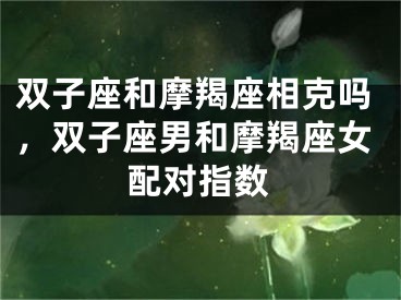 双子座和摩羯座相克吗,双子座男和摩羯座女配对指数