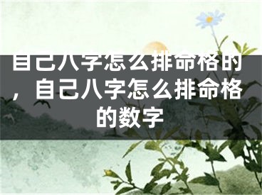 自己八字怎么排命格的，自己八字怎么排命格的数字