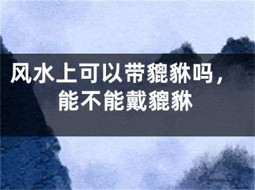 风水上可以带貔貅吗,能不能戴貔貅