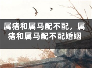 属猪和属马配不配,属猪和属马配不配婚姻