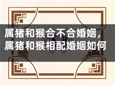 属猪和猴合不合婚姻，属猪和猴相配婚姻如何