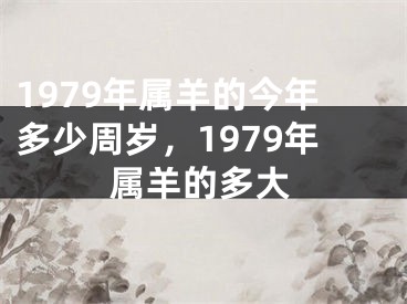 1979年属羊的今年多少周岁，1979年属羊的多大