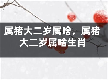 属猪大二岁属啥，属猪大二岁属啥生肖