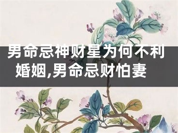 男命忌神财星为何不利婚姻,男命忌财怕妻
