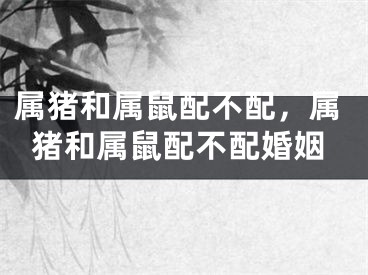 属猪和属鼠配不配，属猪和属鼠配不配婚姻
