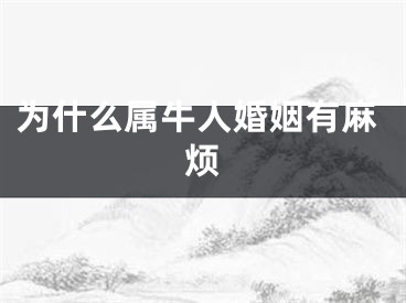 为什么属牛人婚姻有麻烦