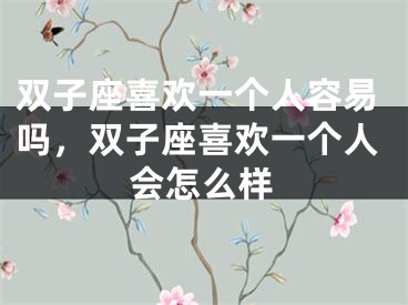 双子座喜欢一个人容易吗,双子座喜欢一个人会怎么样