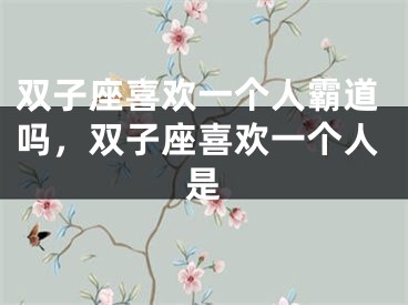 双子座喜欢一个人霸道吗，双子座喜欢一个人是