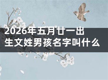 2026年五月廿一出生文姓男孩名字叫什么