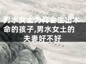 男水女土为何会生出木命的孩子,男水女土的夫妻好不好