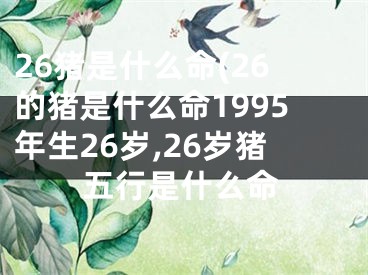 26猪是什么命(26的猪是什么命1995年生26岁,26岁猪五行是什么命