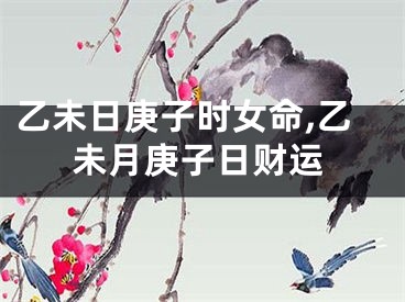 乙未日庚子时女命,乙未月庚子日财运