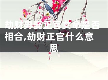 劫财男娶正官女命是否相合,劫财正官什么意思