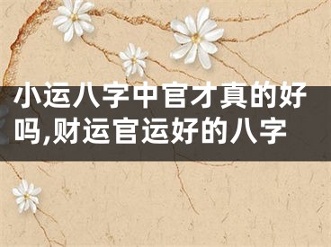 小运八字中官才真的好吗,财运官运好的八字