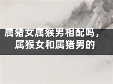 属猪女属猴男相配吗，属猴女和属猪男的