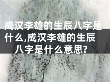 成汉李雄的生辰八字是什么,成汉李雄的生辰八字是什么意思?