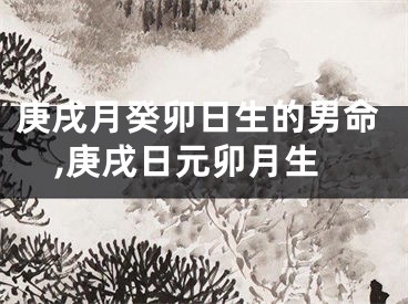 庚戌月癸卯日生的男命,庚戌日元卯月生