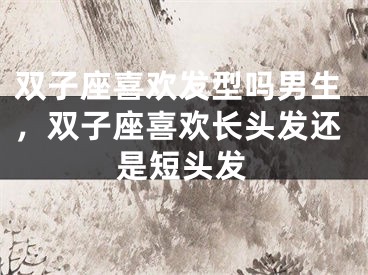 双子座喜欢发型吗男生,双子座喜欢长头发还是短头发