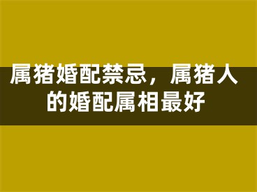 属猪婚配禁忌，属猪人的婚配属相最好