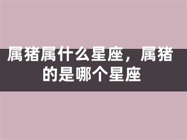 属猪属什么星座，属猪的是哪个星座