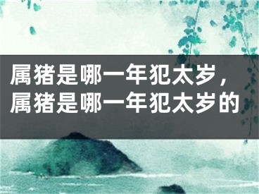 属猪是哪一年犯太岁，属猪是哪一年犯太岁的