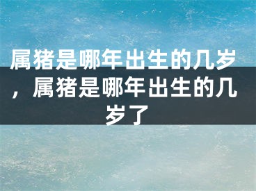 属猪是哪年出生的几岁，属猪是哪年出生的几岁了
