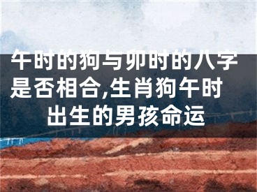 午时的狗与卯时的八字是否相合,生肖狗午时出生的男孩命运