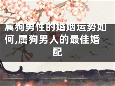 属狗男性的婚姻运势如何,属狗男人的最佳婚配