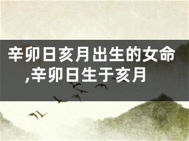 辛卯日亥月出生的女命,辛卯日生于亥月