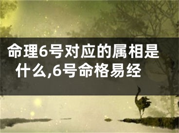 命理6号对应的属相是什么,6号命格易经