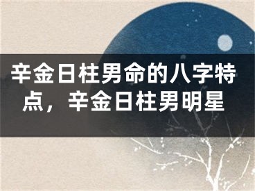 辛金日柱男命的八字特点,辛金日柱男明星
