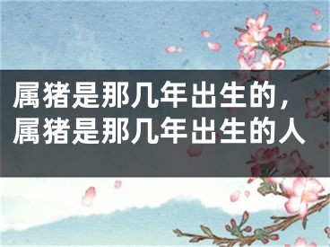 属猪是那几年出生的，属猪是那几年出生的人