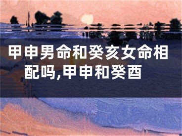 甲申男命和癸亥女命相配吗,甲申和癸酉
