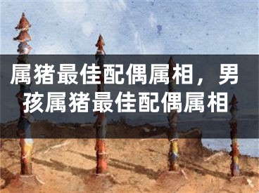 属猪最佳配偶属相，男孩属猪最佳配偶属相