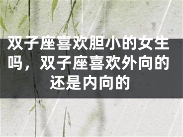 双子座喜欢胆小的女生吗，双子座喜欢外向的还是内向的