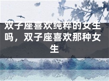 双子座喜欢纯粹的女生吗，双子座喜欢那种女生