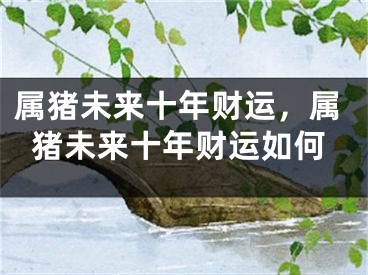 属猪未来十年财运，属猪未来十年财运如何