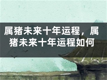 属猪未来十年运程，属猪未来十年运程如何