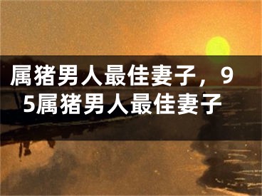 属猪男人最佳妻子,95属猪男人最佳妻子