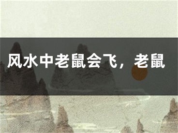 风水中老鼠会飞，老鼠