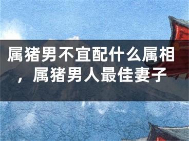 属猪男不宜配什么属相,属猪男人最佳妻子