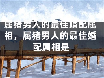 属猪男人的最佳婚配属相，属猪男人的最佳婚配属相是