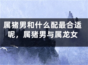属猪男和什么配最合适呢，属猪男与属龙女