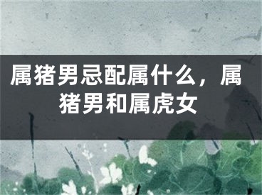 属猪男忌配属什么，属猪男和属虎女