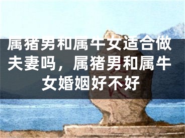 属猪男和属牛女适合做夫妻吗，属猪男和属牛女婚姻好不好