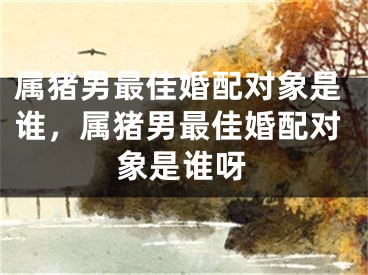 属猪男最佳婚配对象是谁，属猪男最佳婚配对象是谁呀
